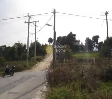 Residential 650m<sup>2</sup> for sale photo 1397157
