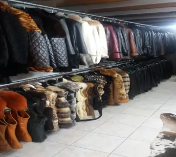 Golden Home Property Image