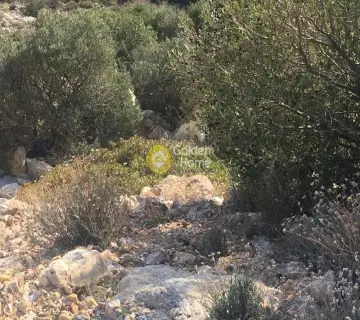 Οικιστικό 1300τ.μ. προς πώληση φωτογραφία 37
