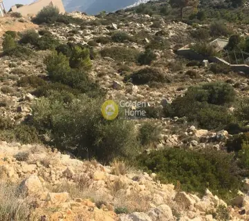 Οικιστικό 1300τ.μ. προς πώληση φωτογραφία 39