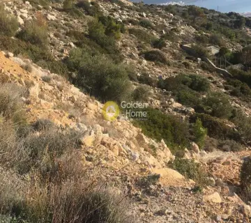 Οικιστικό 1300τ.μ. προς πώληση φωτογραφία 40