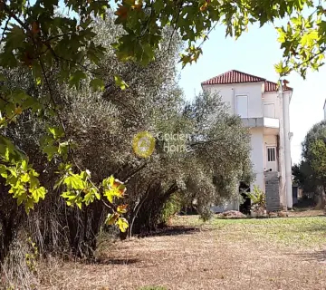 Μεζονέτα Ανεξάρτητη 285τ.μ. προς πώληση φωτογραφία 4