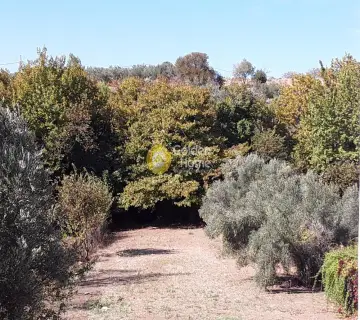Μεζονέτα Ανεξάρτητη 285τ.μ. προς πώληση φωτογραφία 8