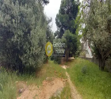 Μονοκατοικία 400τ.μ. προς πώληση φωτογραφία 10