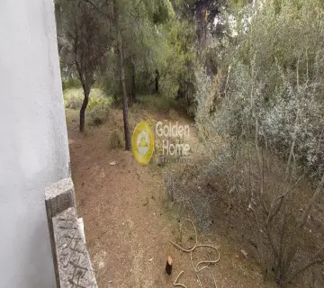 Μονοκατοικία 400τ.μ. προς πώληση φωτογραφία 30