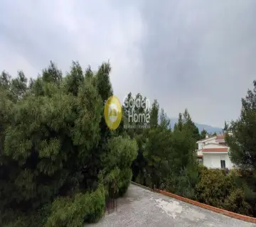 Μονοκατοικία 400τ.μ. προς πώληση φωτογραφία 39