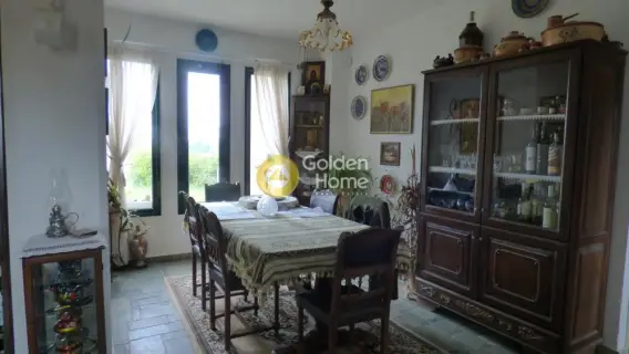 Μονοκατοικία 350τ.μ. προς πώληση φωτογραφία 6