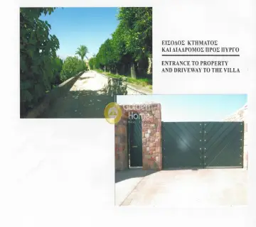 Golden Home Property Image