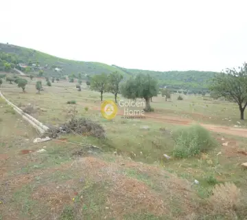 Residential 2459m<sup>2</sup> for sale photo 1430399