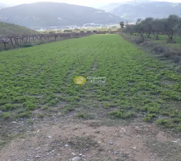 Residential 2700m<sup>2</sup> for sale photo 2