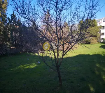Οικιστικό 1570τ.μ. προς πώληση φωτογραφία 4