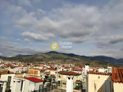 Μονοκατοικία 240τ.μ. προς πώληση φωτογραφία 2