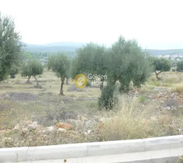 Residential 700m<sup>2</sup> for sale photo 1435071