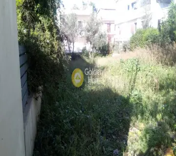 Residential 450m<sup>2</sup> for rent photo 3