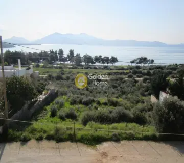 Residence complex 320m<sup>2</sup> for sale photo 7