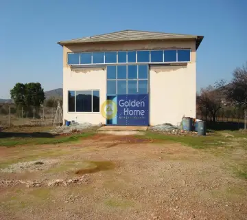 Golden Home Property Image