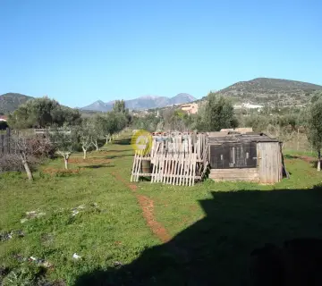 Αποθήκη 500τ.μ. προς πώληση φωτογραφία 6