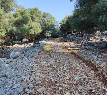 Αγροτεμάχιο 7313τ.μ. προς πώληση φωτογραφία 5