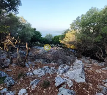 Αγροτεμάχιο 7313τ.μ. προς πώληση φωτογραφία 7