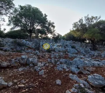 Αγροτεμάχιο 7313τ.μ. προς πώληση φωτογραφία 9