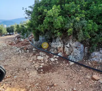 Αγροτεμάχιο 7313τ.μ. προς πώληση φωτογραφία 8