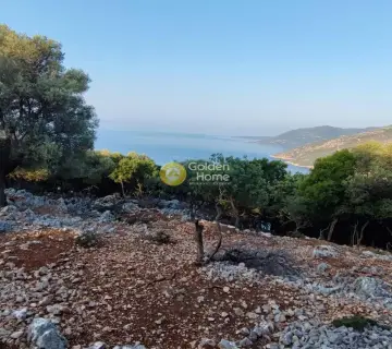Αγροτεμάχιο 7313τ.μ. προς πώληση φωτογραφία 10