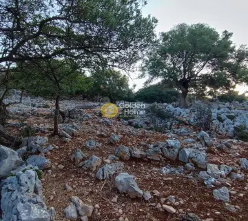 Αγροτεμάχιο 7313τ.μ. προς πώληση φωτογραφία 11