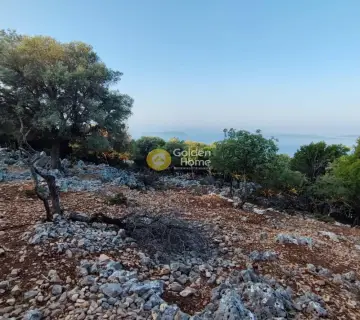 Αγροτεμάχιο 7313τ.μ. προς πώληση φωτογραφία 17