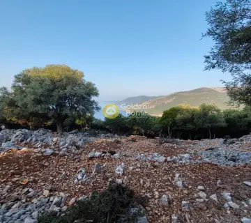Αγροτεμάχιο 7313τ.μ. προς πώληση φωτογραφία 16