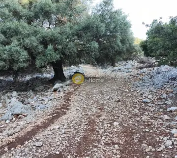 Αγροτεμάχιο 7313τ.μ. προς πώληση φωτογραφία 18