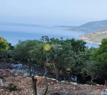 Αγροτεμάχιο 7313τ.μ. προς πώληση φωτογραφία 2