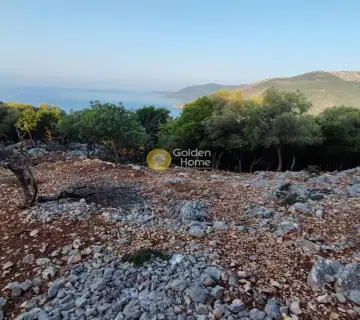 Αγροτεμάχιο 7313τ.μ. προς πώληση φωτογραφία 20