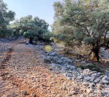Αγροτεμάχιο 7313τ.μ. προς πώληση φωτογραφία 15