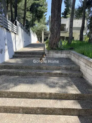 Μονοκατοικία 260τ.μ. προς πώληση φωτογραφία 14