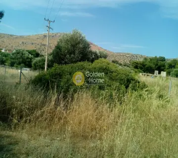 Parcel 580m<sup>2</sup> for sale photo 13