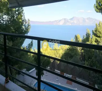 Μονοκατοικία 308τ.μ. προς πώληση φωτογραφία 14