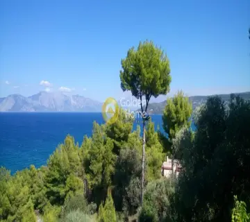 Μονοκατοικία 308τ.μ. προς πώληση φωτογραφία 12