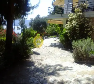 Μονοκατοικία 308τ.μ. προς πώληση φωτογραφία 19