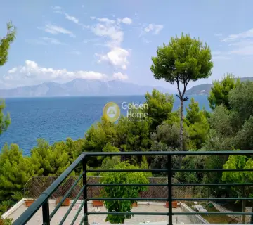 Μονοκατοικία 308τ.μ. προς πώληση φωτογραφία 21
