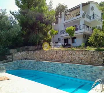 Μονοκατοικία 308τ.μ. προς πώληση φωτογραφία 2