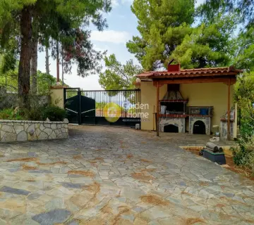Μονοκατοικία 308τ.μ. προς πώληση φωτογραφία 11