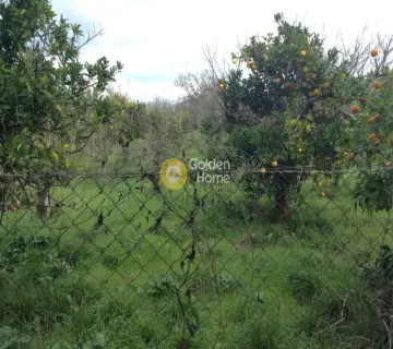 Parcel 400m<sup>2</sup> for sale photo 1448275