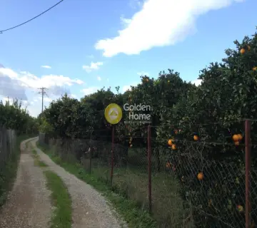 Golden Home Property Image