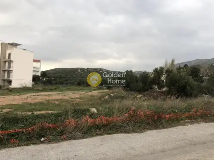 Οικιστικό 4800τ.μ. προς πώληση φωτογραφία 7