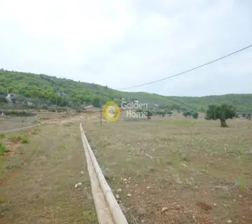 Residential 1400m<sup>2</sup> for sale photo 1452138