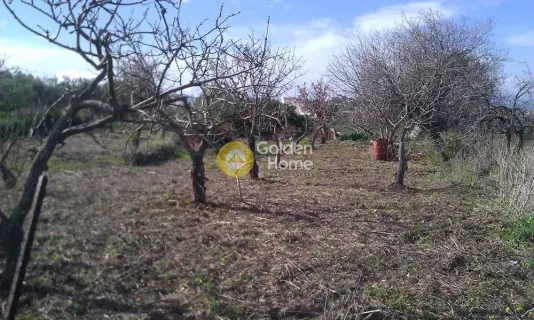 Residential 860m<sup>2</sup> for sale photo 1455515