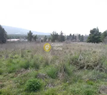 Οικιστικό 5938τ.μ. προς πώληση φωτογραφία 2063490