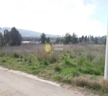 Οικιστικό 5938τ.μ. προς πώληση φωτογραφία 2063491
