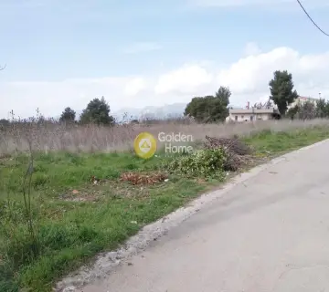 Οικιστικό 5938τ.μ. προς πώληση φωτογραφία 2063491