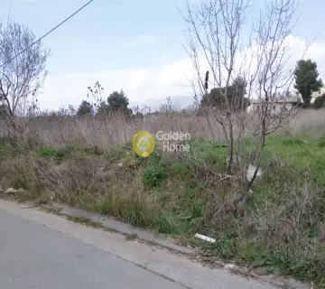 Οικιστικό 5938τ.μ. προς πώληση φωτογραφία 2063491